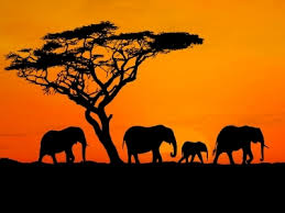 Safari Supper